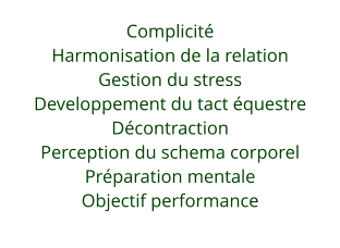 ComplicitHarmonisation de la relationGestion du stressDeveloppement du tact questreDcontractionPerception du schema corporelPrparation mentaleObjectif performance